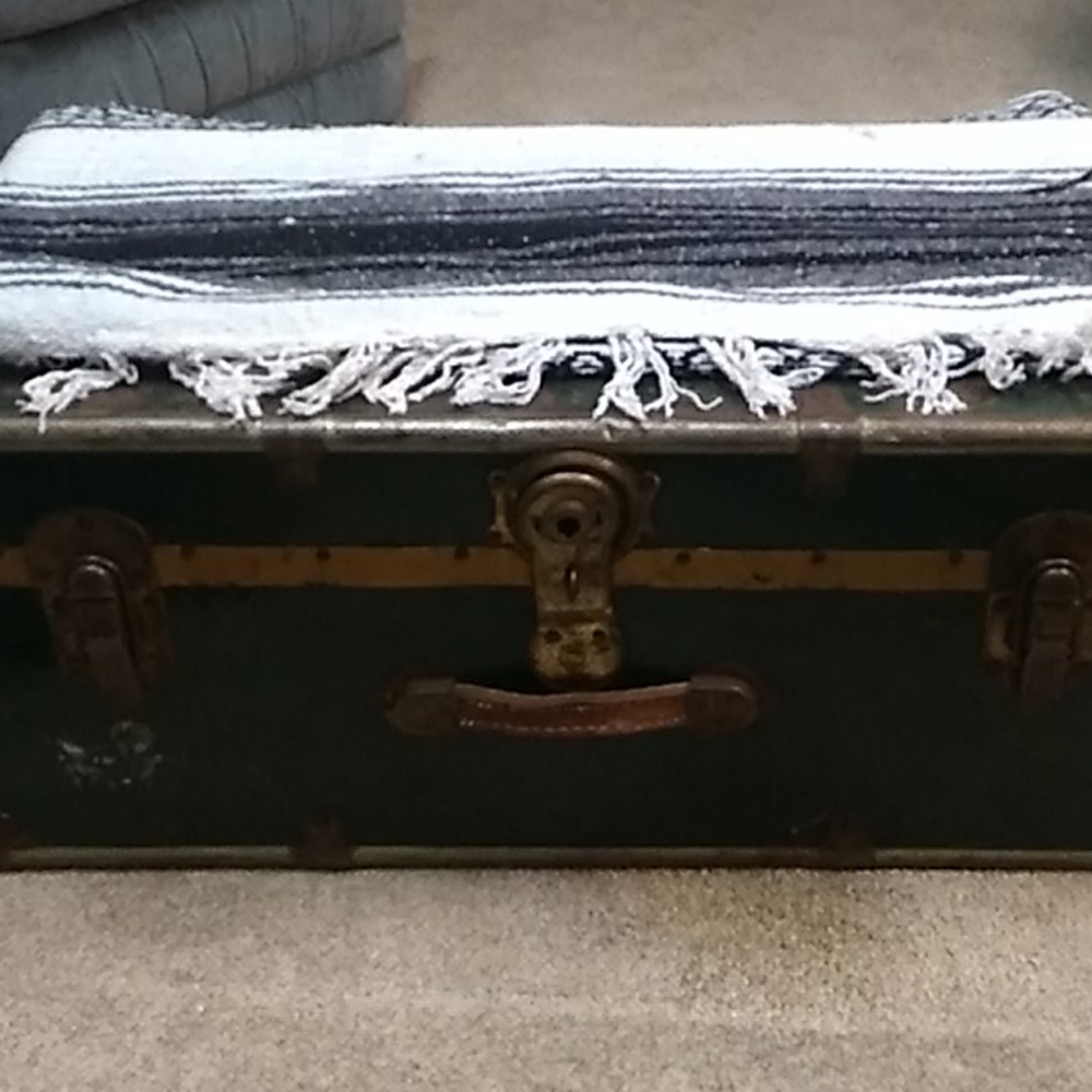Chest/trunk